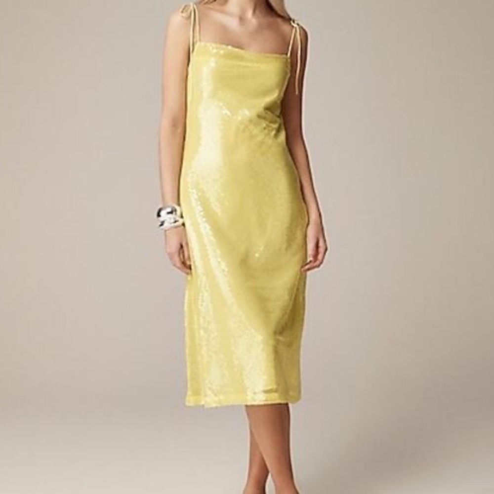Anna October  J.Crew sequin slip dress